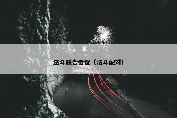 法斗联合会议（法斗配对）
