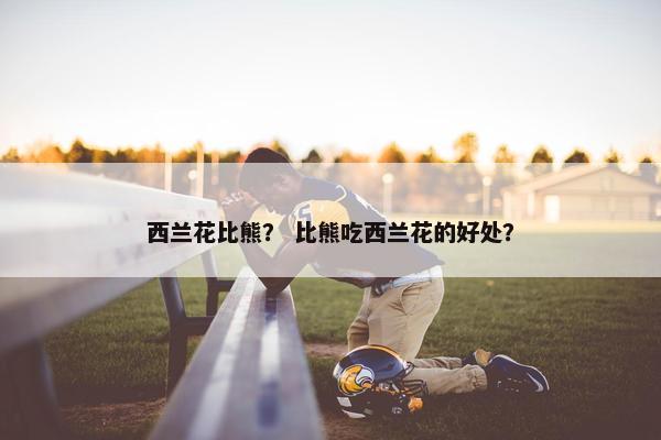 西兰花比熊？ 比熊吃西兰花的好处？