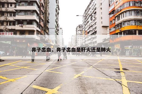 鼻子出血，鼻子出血是肝火还是肺火