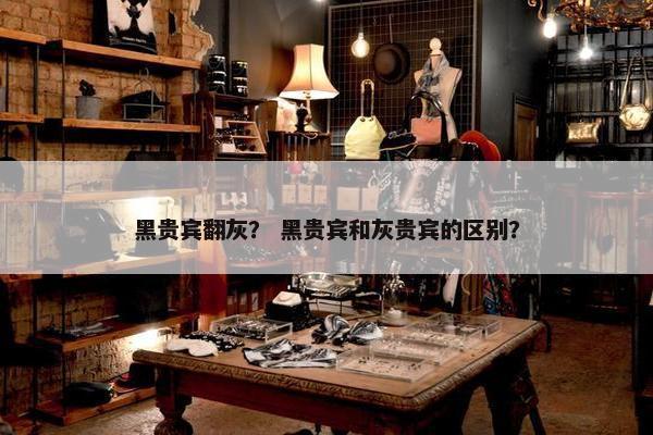 黑贵宾翻灰？ 黑贵宾和灰贵宾的区别？