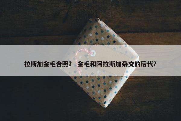 拉斯加金毛合照？ 金毛和阿拉斯加杂交的后代？