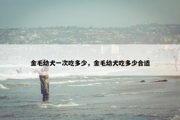 金毛幼犬一次吃多少，金毛幼犬吃多少合适