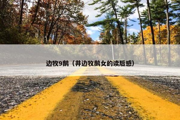 边牧9鹅（井边牧鹅女的读后感）