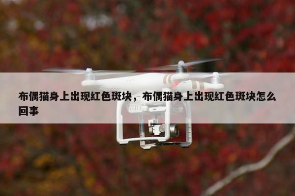 布偶猫身上出现红色斑块，布偶猫身上出现红色斑块怎么回事