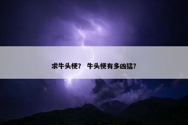 求牛头梗？ 牛头梗有多凶猛？