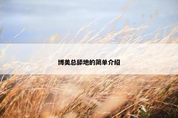 博美总舔地的简单介绍