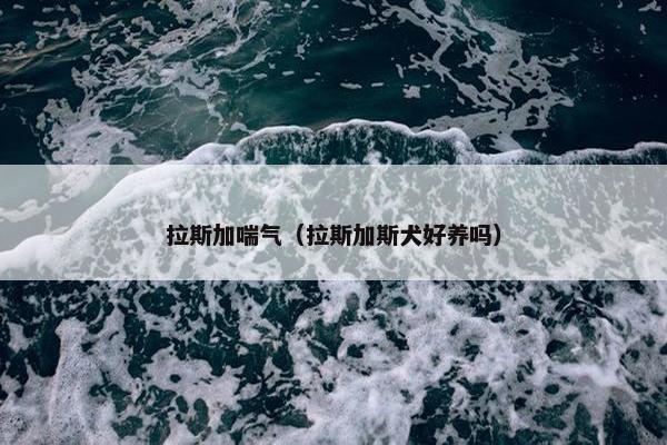 拉斯加喘气（拉斯加斯犬好养吗）