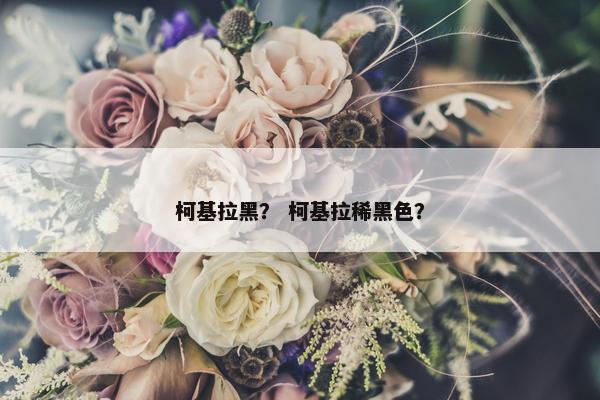 柯基拉黑？ 柯基拉稀黑色？