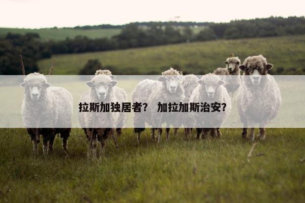 拉斯加独居者？ 加拉加斯治安？