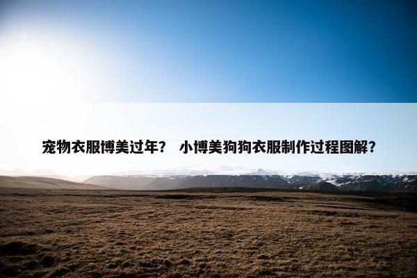 宠物衣服博美过年？ 小博美狗狗衣服制作过程图解？