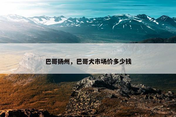 巴哥扬州，巴哥犬市场价多少钱