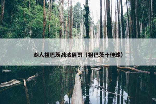 湖人祖巴茨战浓眉哥（祖巴茨十佳球）