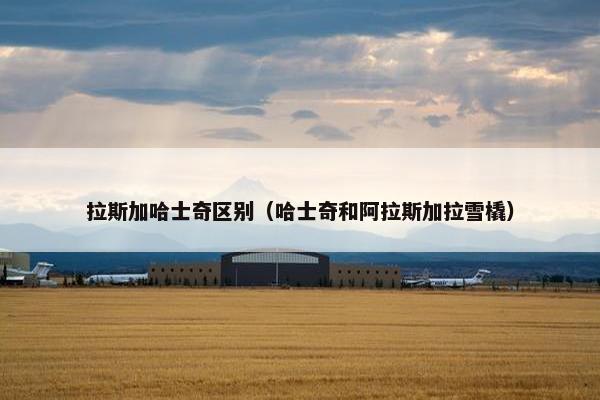 拉斯加哈士奇区别（哈士奇和阿拉斯加拉雪橇）