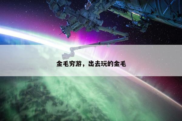 金毛穷游，出去玩的金毛