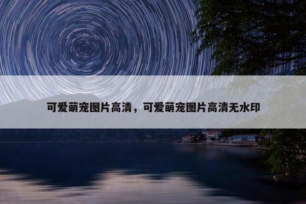 可爱萌宠图片高清，可爱萌宠图片高清无水印