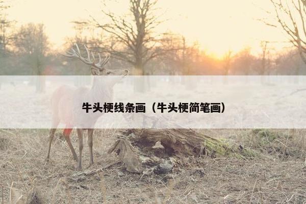 牛头梗线条画（牛头梗简笔画）