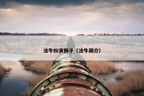 法牛扮演狮子（法牛简介）