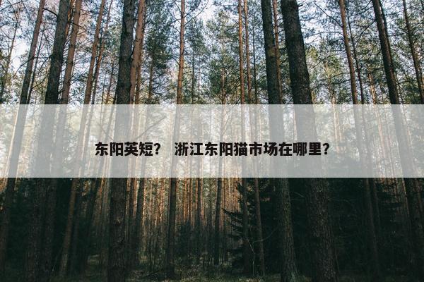 东阳英短？ 浙江东阳猫市场在哪里？