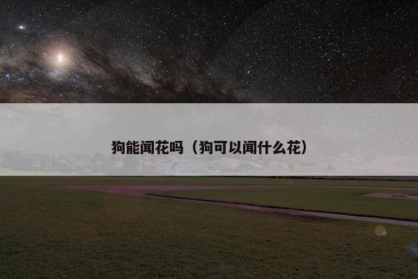 狗能闻花吗（狗可以闻什么花）