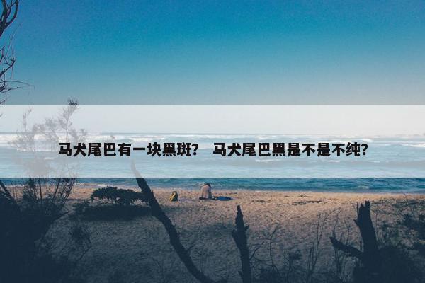 马犬尾巴有一块黑斑？ 马犬尾巴黑是不是不纯？
