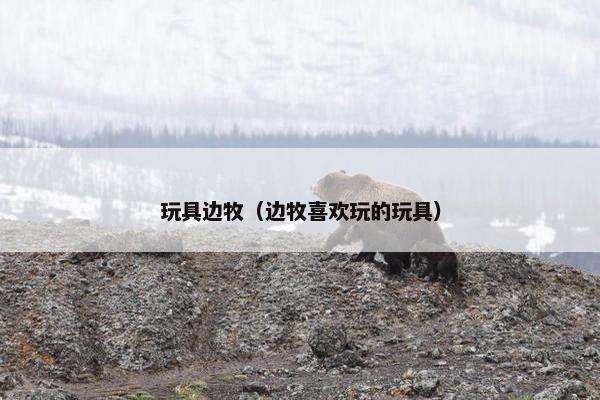 玩具边牧（边牧喜欢玩的玩具）