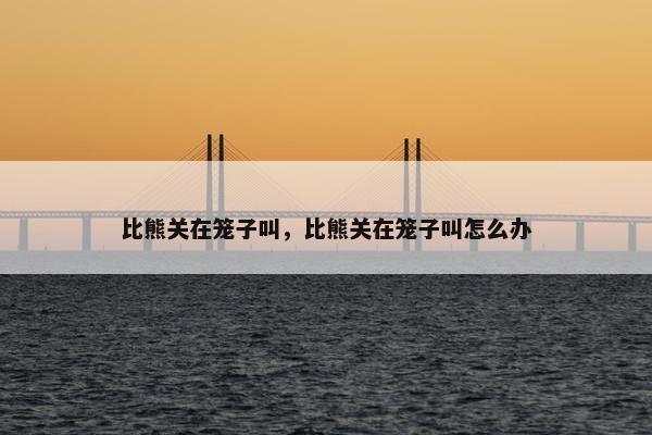 比熊关在笼子叫，比熊关在笼子叫怎么办