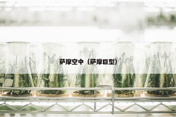 萨摩空中（萨摩巨型）