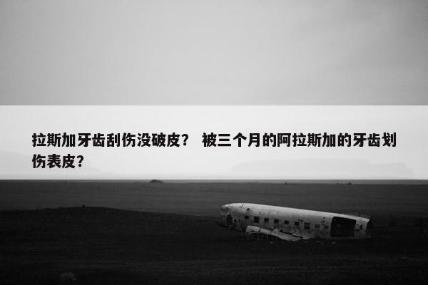拉斯加牙齿刮伤没破皮？ 被三个月的阿拉斯加的牙齿划伤表皮？