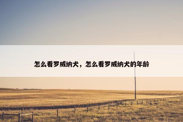 怎么看罗威纳犬，怎么看罗威纳犬的年龄