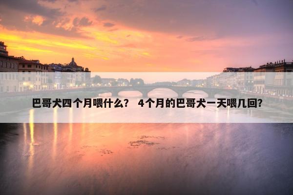 巴哥犬四个月喂什么？ 4个月的巴哥犬一天喂几回？