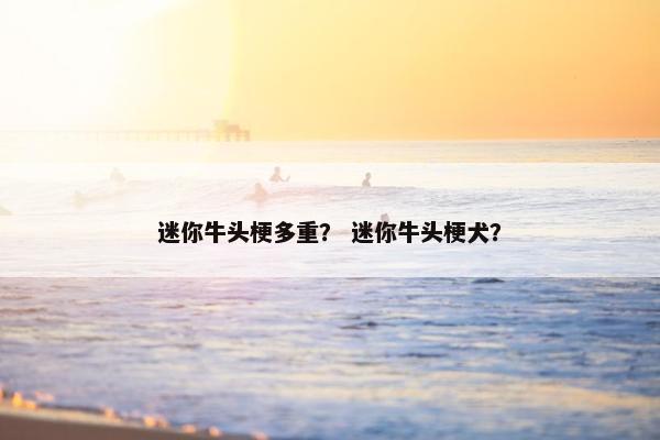 迷你牛头梗多重？ 迷你牛头梗犬？