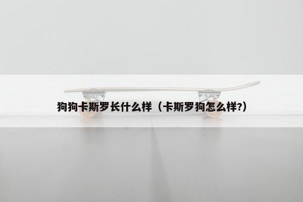 狗狗卡斯罗长什么样（卡斯罗狗怎么样?）
