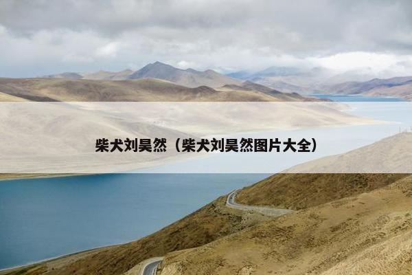 柴犬刘昊然（柴犬刘昊然图片大全）