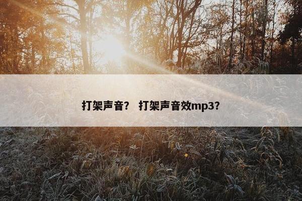 打架声音？ 打架声音效mp3？