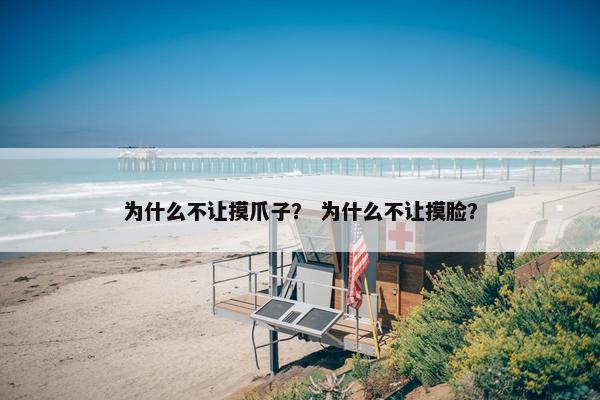 为什么不让摸爪子？ 为什么不让摸脸？