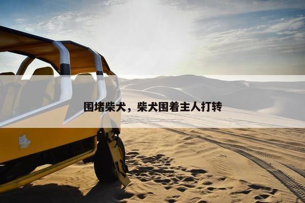 围堵柴犬，柴犬围着主人打转