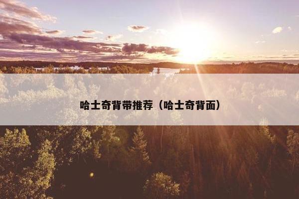 哈士奇背带推荐（哈士奇背面）