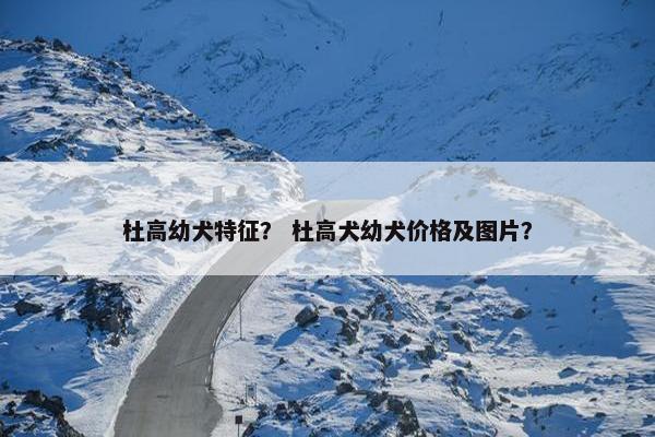 杜高幼犬特征？ 杜高犬幼犬价格及图片？