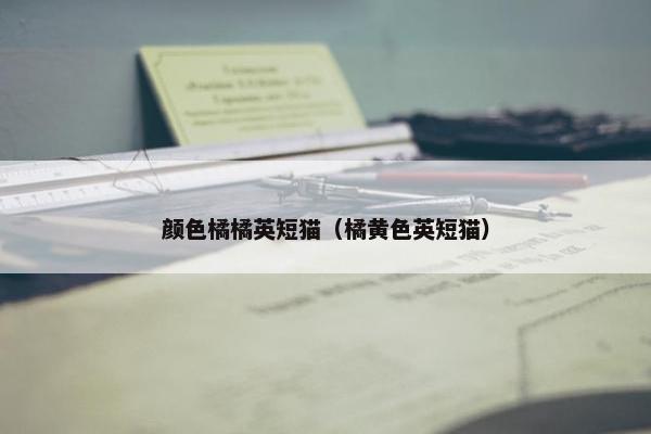 颜色橘橘英短猫（橘黄色英短猫）