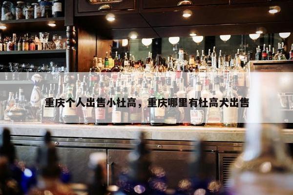 重庆个人出售小杜高，重庆哪里有杜高犬出售