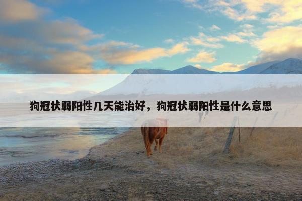 狗冠状弱阳性几天能治好，狗冠状弱阳性是什么意思