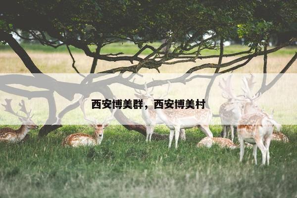 西安博美群，西安博美村