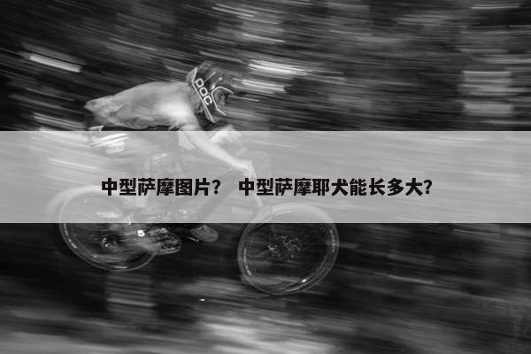 中型萨摩图片？ 中型萨摩耶犬能长多大？