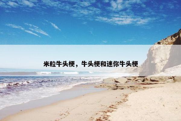 米粒牛头梗，牛头梗和迷你牛头梗