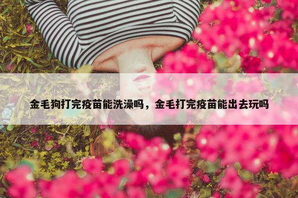 金毛狗打完疫苗能洗澡吗，金毛打完疫苗能出去玩吗