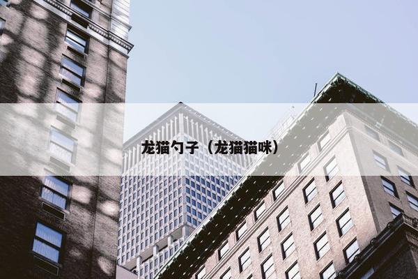 龙猫勺子（龙猫猫咪）
