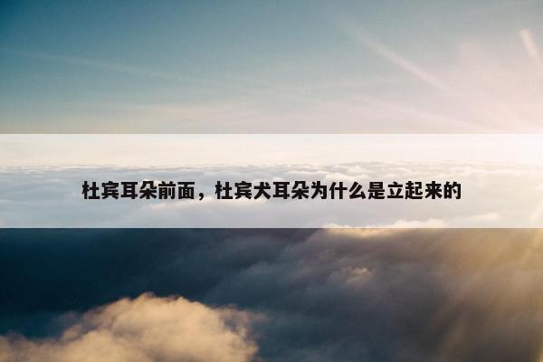 杜宾耳朵前面，杜宾犬耳朵为什么是立起来的