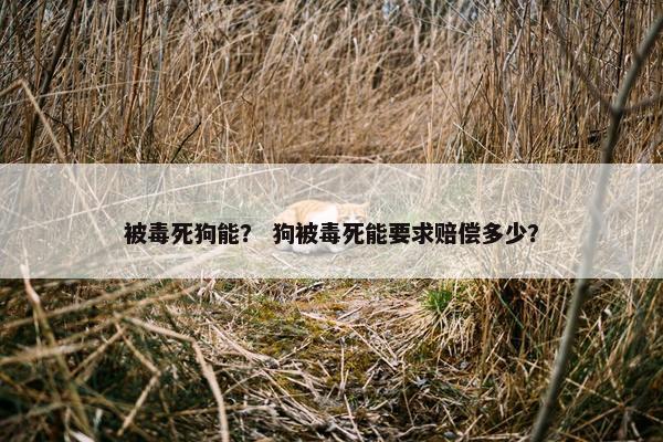 被毒死狗能？ 狗被毒死能要求赔偿多少？