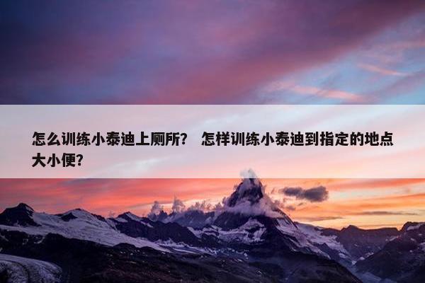 怎么训练小泰迪上厕所？ 怎样训练小泰迪到指定的地点大小便？