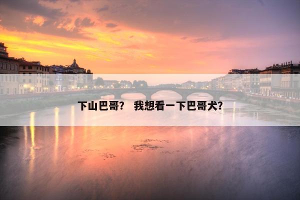 下山巴哥？ 我想看一下巴哥犬？